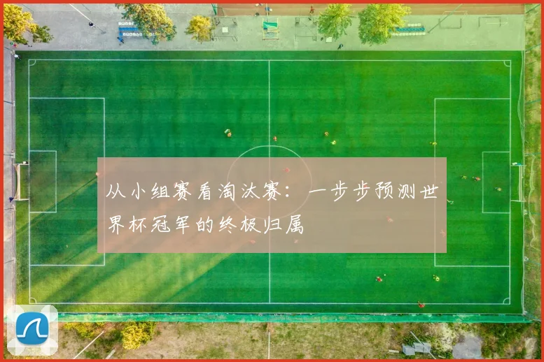 从小组赛看淘汰赛：一步步预测世界杯冠军的终极归属